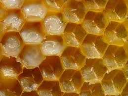 A méhpempő jó hatással van a szervezetre